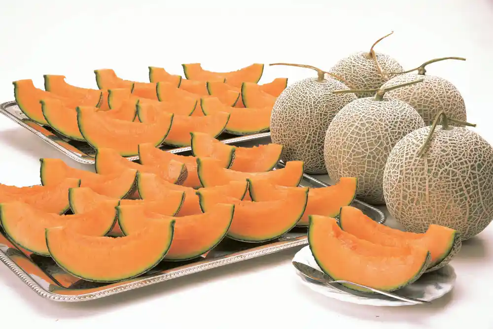 Orange melon halves and round melons on tray