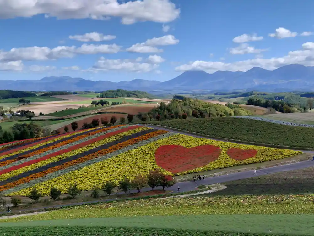 Red heart-shaped flower field with mountains beyond