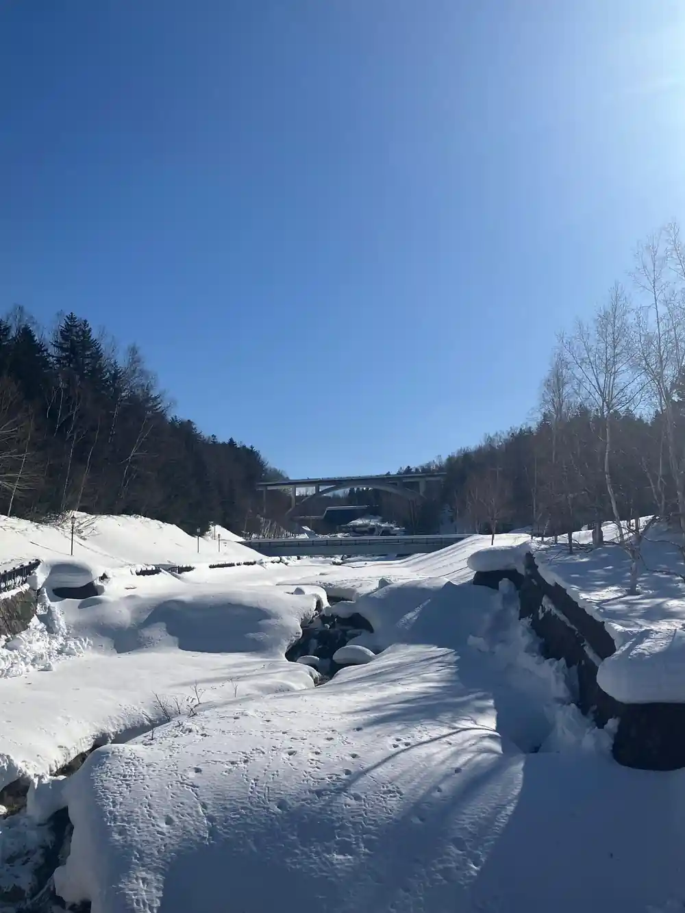Snowy riverbank with trees and clear blue sky