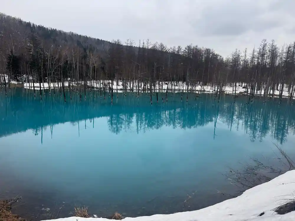 Still turquoise lake with bare trees reflected