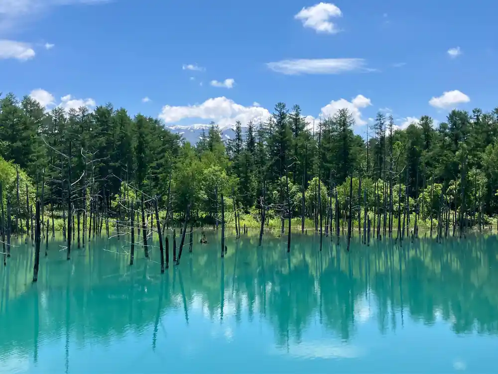 Turquoise pond with reflected conifer trees and mountains